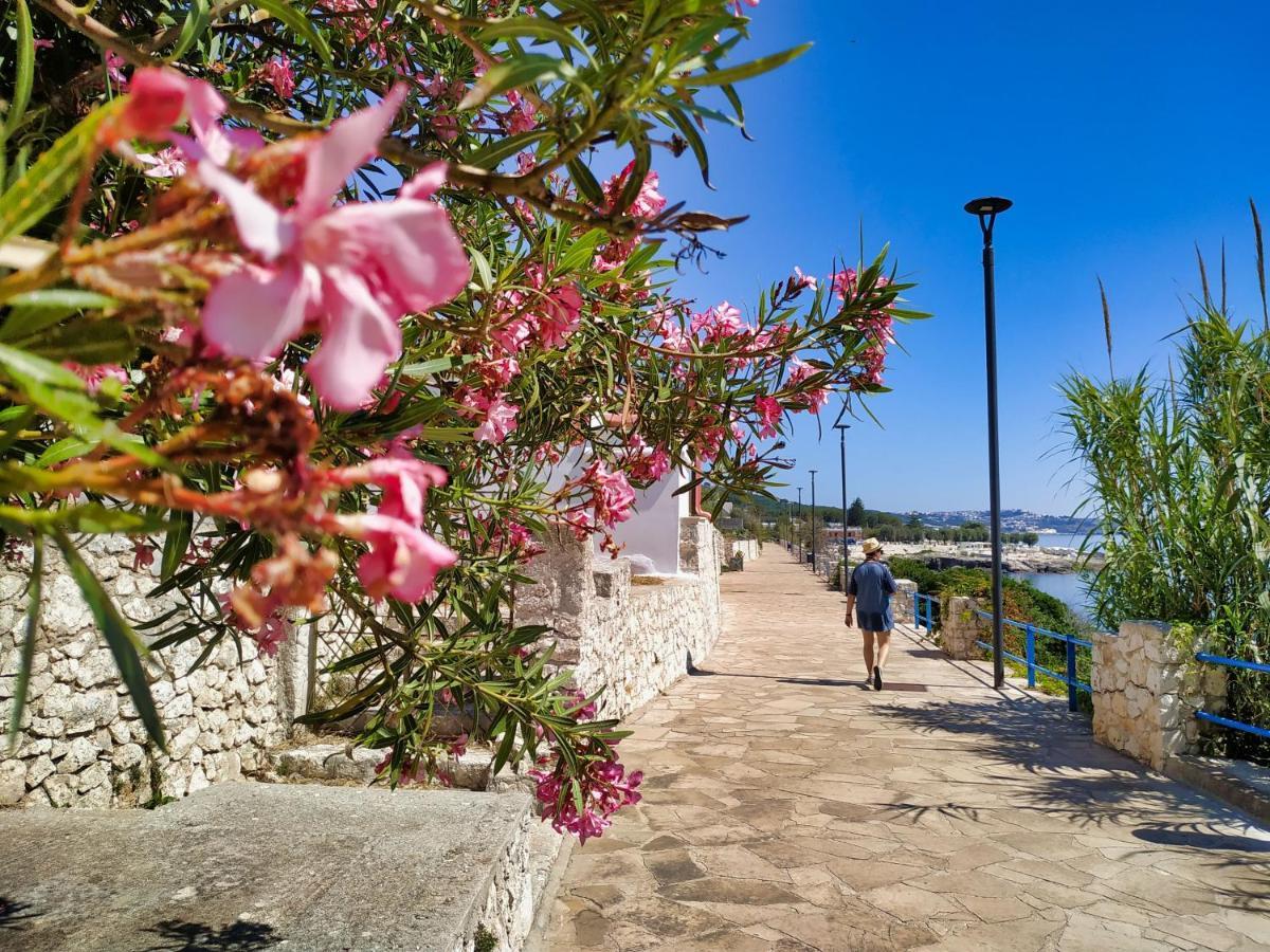 Marina Di Andrano - Alisso, Casa Vista Mare Con Parcheggio Privato E Wifi Villa Exterior foto