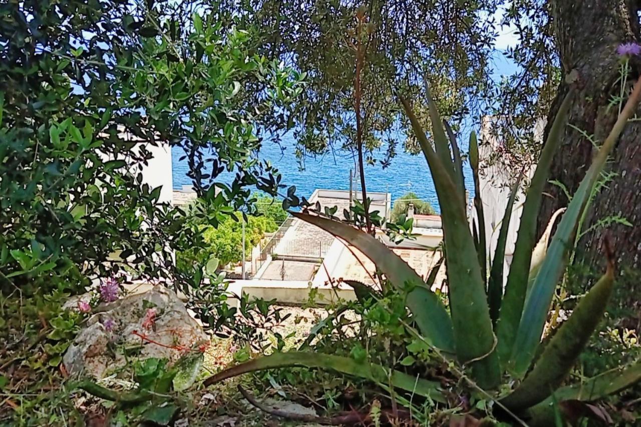 Marina Di Andrano - Alisso, Casa Vista Mare Con Parcheggio Privato E Wifi Villa Exterior foto